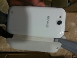 h95003.jpg