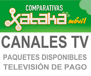 i.blogs.es_48cea3_canales_television_650_1200.png