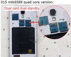c268.jpg