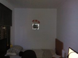 IMG_20130907_102149.jpg