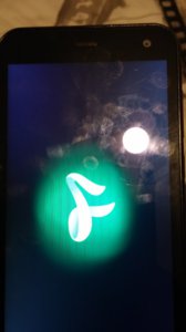 20170512_224502.jpg