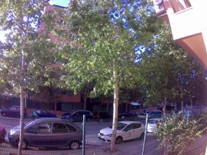 20170628_205545A.jpg