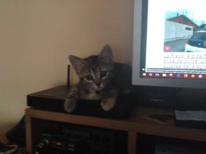 IMG_20170704_195849.jpg