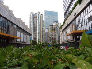 QQ图片20170823145648.jpg