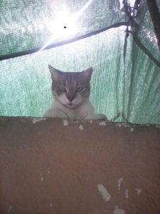 IMG_20170912_134213.jpg