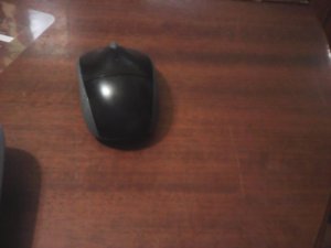 IMG_20170901_151137.jpg