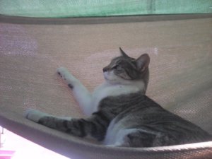 IMG_20170912_133337.jpg