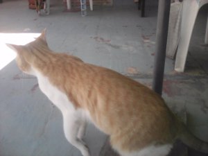 IMG_20170912_133902.jpg