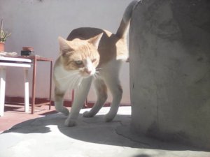 IMG_20170912_133917.jpg