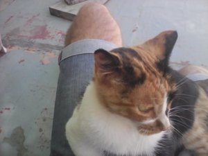IMG_20170912_134105.jpg