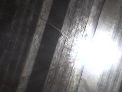 IMG_20120101_002439.jpg