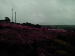 ext%u00252520cam%2520thl%25202.jpg