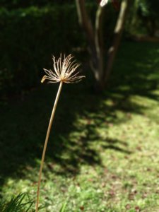 IMG_20171022_090802.jpg