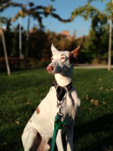 IMG_20171022_090632.jpg