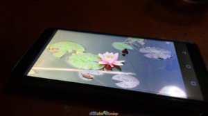 IMG_20171215_183655.jpg