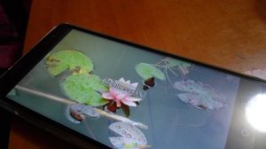 IMG_20171215_183831.jpg