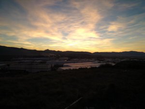 IMG_20171221_174800.jpg