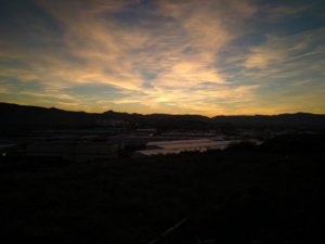 IMG_20171221_174808.jpg