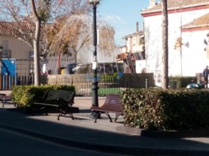 IMG_20180213_112617.jpg