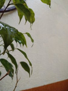 P80318-144644.jpg
