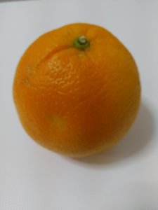 IMG_20180324_145749.jpg