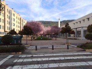IMG_20180328_100302.jpg