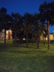 IMG_20180329_205949.jpg