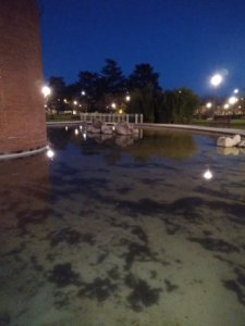 IMG_20180329_210255.jpg