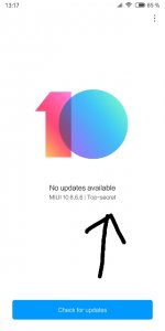 Screenshot_2018-06-06-13-17-43-743_com.android.updater.jpg