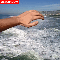 20.gif
