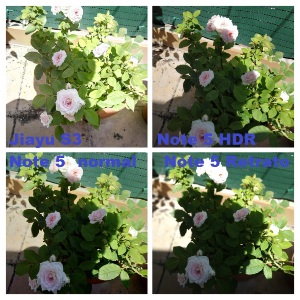 IMG_20180704_155820_COLLAGE_edit.jpg