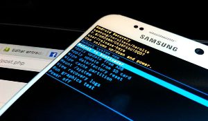 root-roms-e1505895180926.jpg