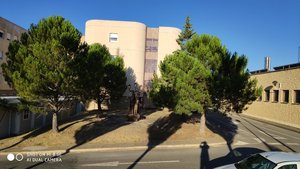 IMG_20180815_200056.jpg
