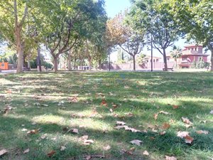 IMG_20181007_154349.jpg