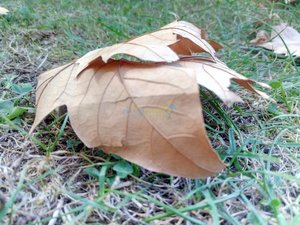 IMG_20181007_154321.jpg