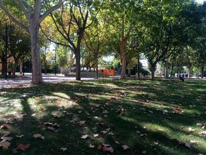 IMG_20181007_154535.jpg