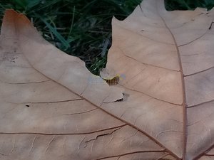 IMG_20181007_154506.jpg