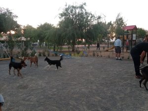 IMG_20181003_195327.jpg