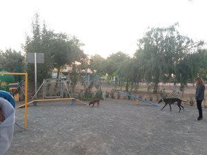 IMG_20181003_195356.jpg