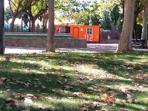 IMG_20181007_154522.jpg