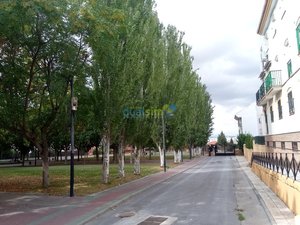 IMG_20181011_160416.jpg