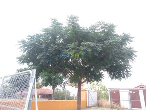 IMG_20181011_154605.jpg