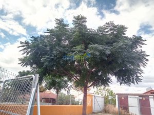 IMG_20181011_154617.jpg