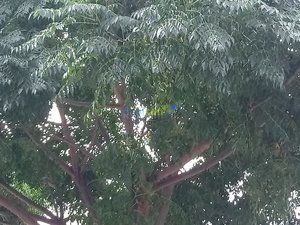 IMG_20181011_154654.jpg