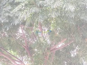 IMG_20181011_154708.jpg