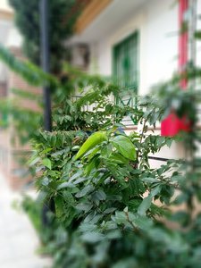 IMG_20181011_160553.jpg