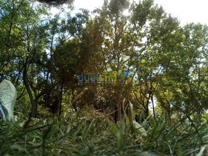 IMG_20181011_155512.jpg