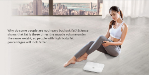 HUAWEI-Honor-Body-Fat-Smart-Scale-White-20181116095217724.jpg