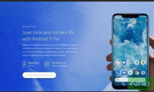 Nokia-8.1-filtracion-1.png