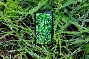 Samsung-galaxy-a8-cesped.jpg